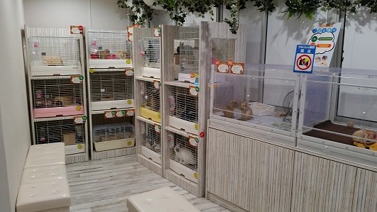 🐾 애니멀룸 이케모후 이미지 1